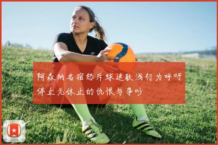 阿森纳名宿怒斥球迷肤浅行为呼吁停止无休止的仇恨与争吵